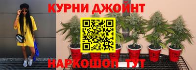кокс Нальчик