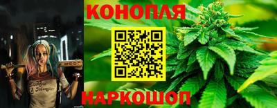 кокс Нальчик