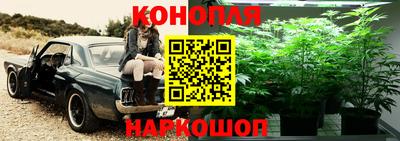 индика Нарткала