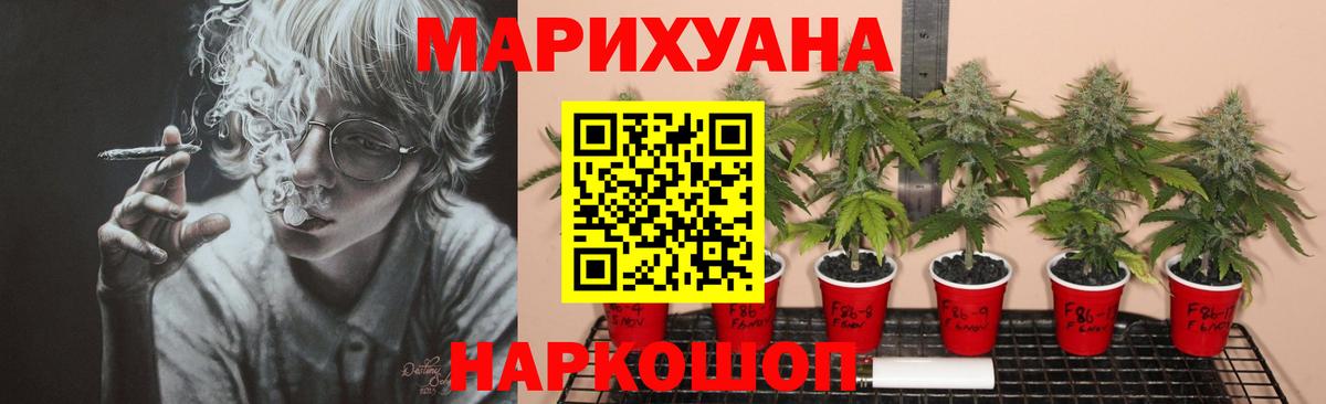 Конопля планчик  МАРИХУАНА конопля  Канабис OG Kush  Вход с VPN  Тосно 